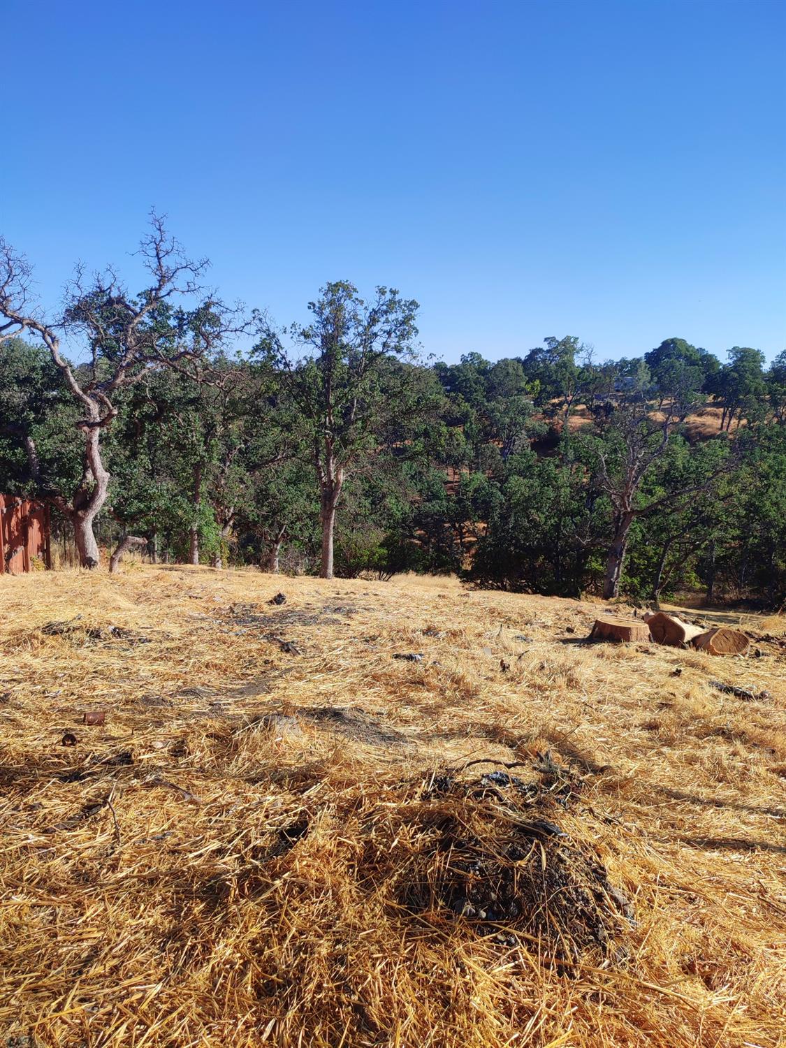Springfield Point, Corning, California image 14