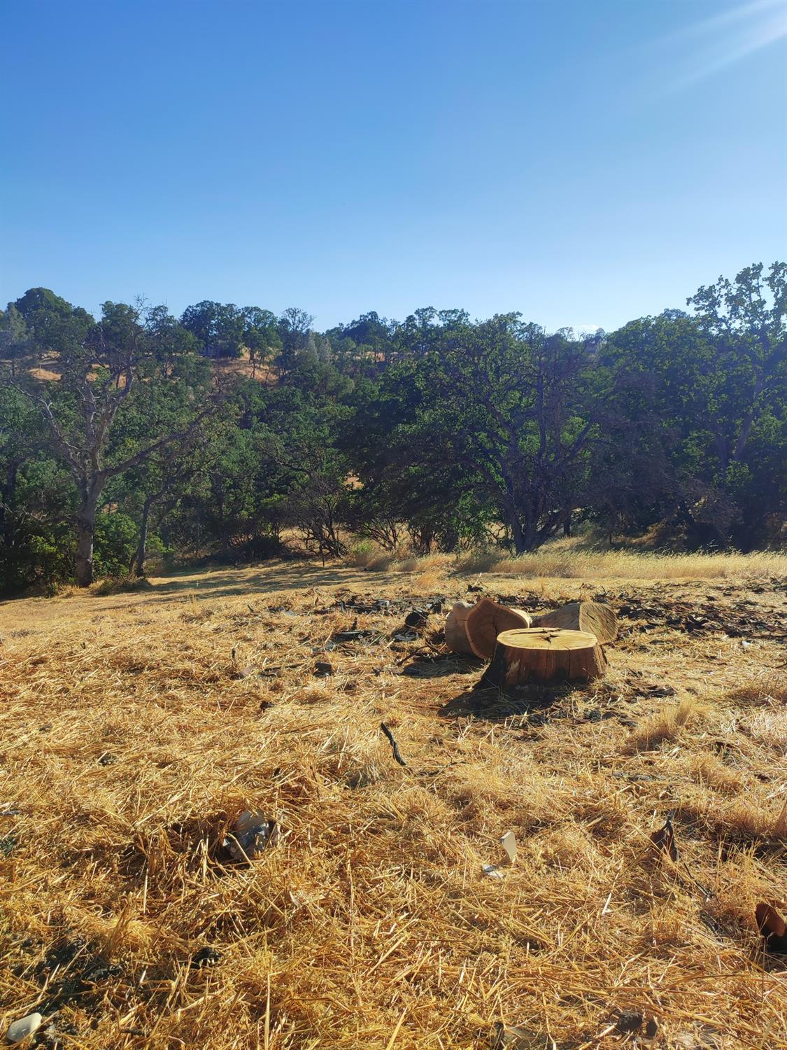 Springfield Point, Corning, California image 7