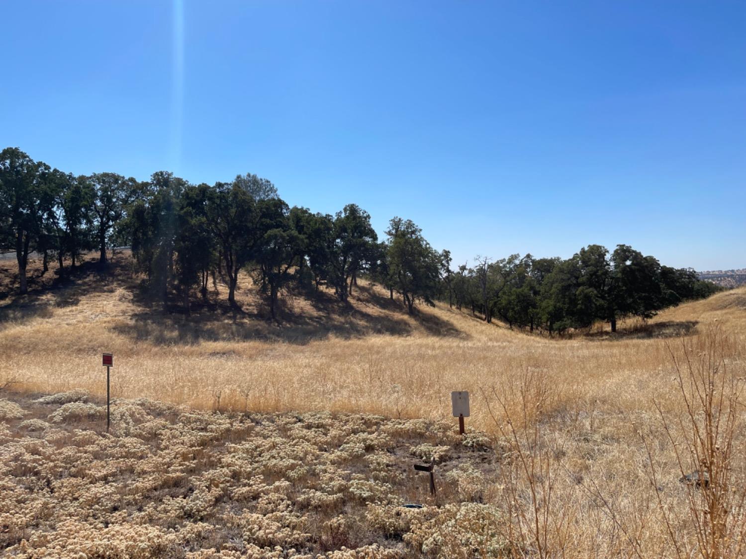 Arbolada Drive, La Grange, California image 3