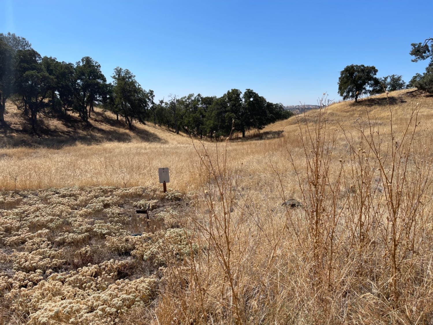 Arbolada Drive, La Grange, California image 4