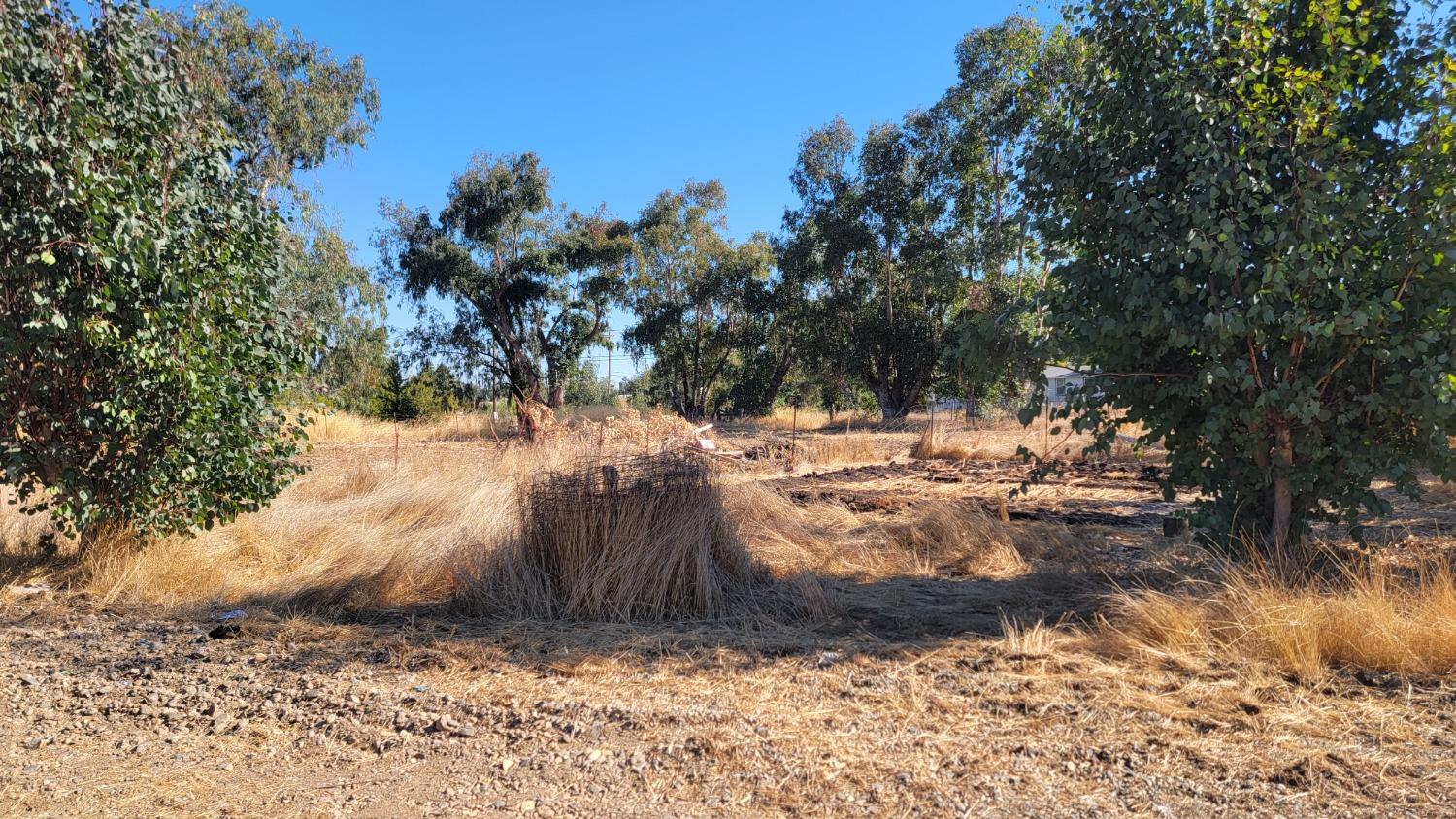 Clay Station Road, Herald, California image 36