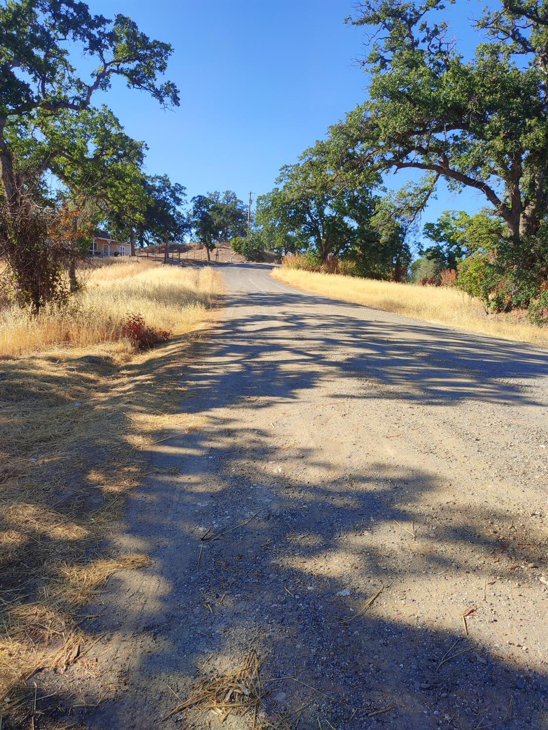 Springfield Point, Corning, California image 16