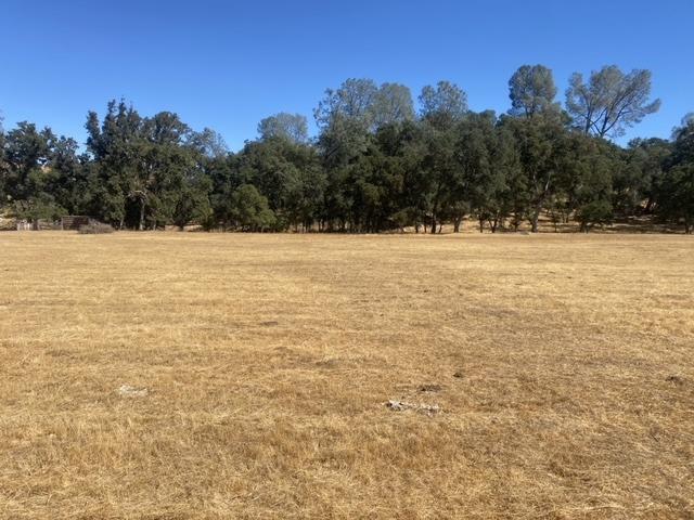 Tapadero Street, Angels Camp, California image 40