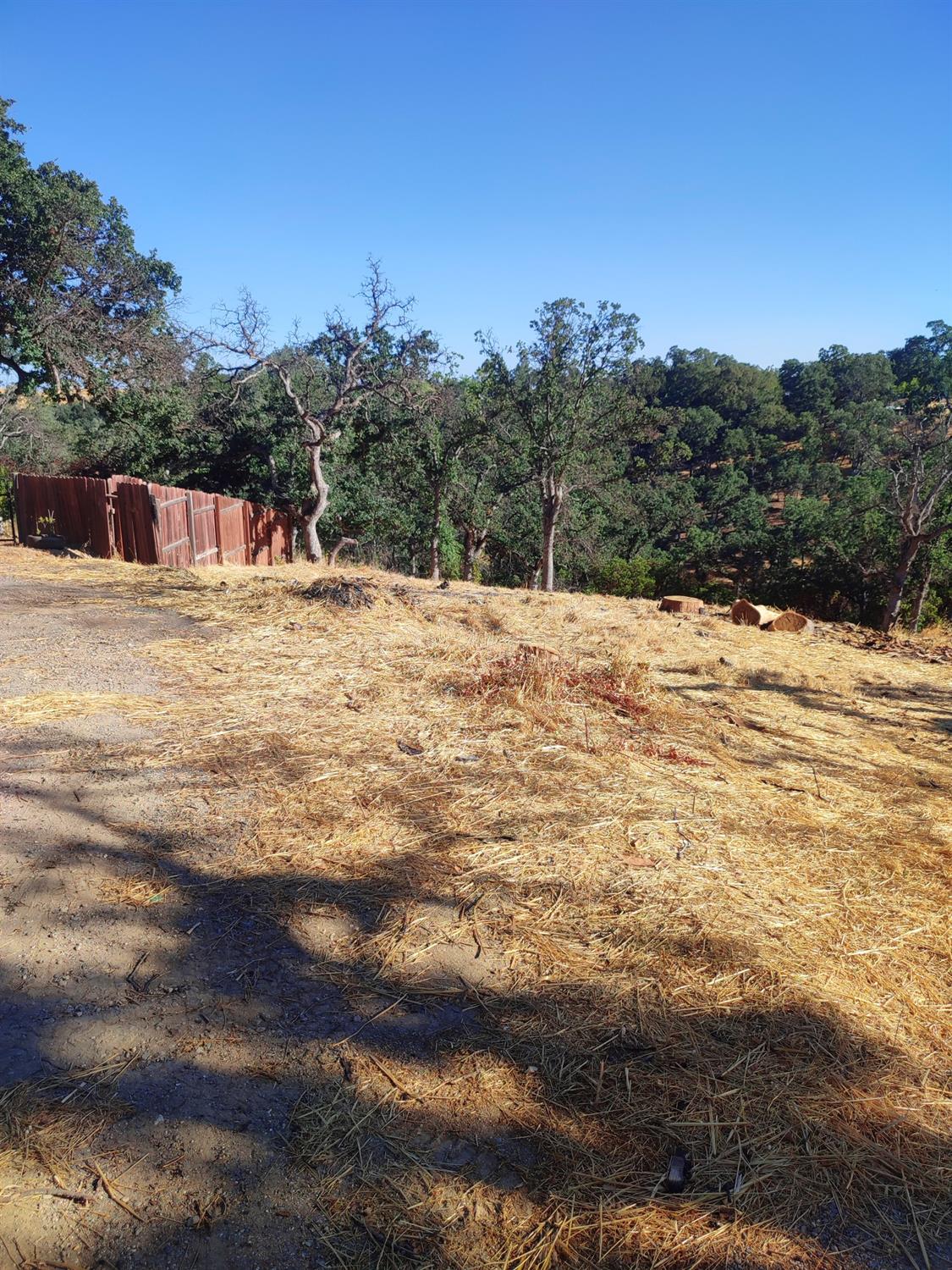 Springfield Point, Corning, California image 20