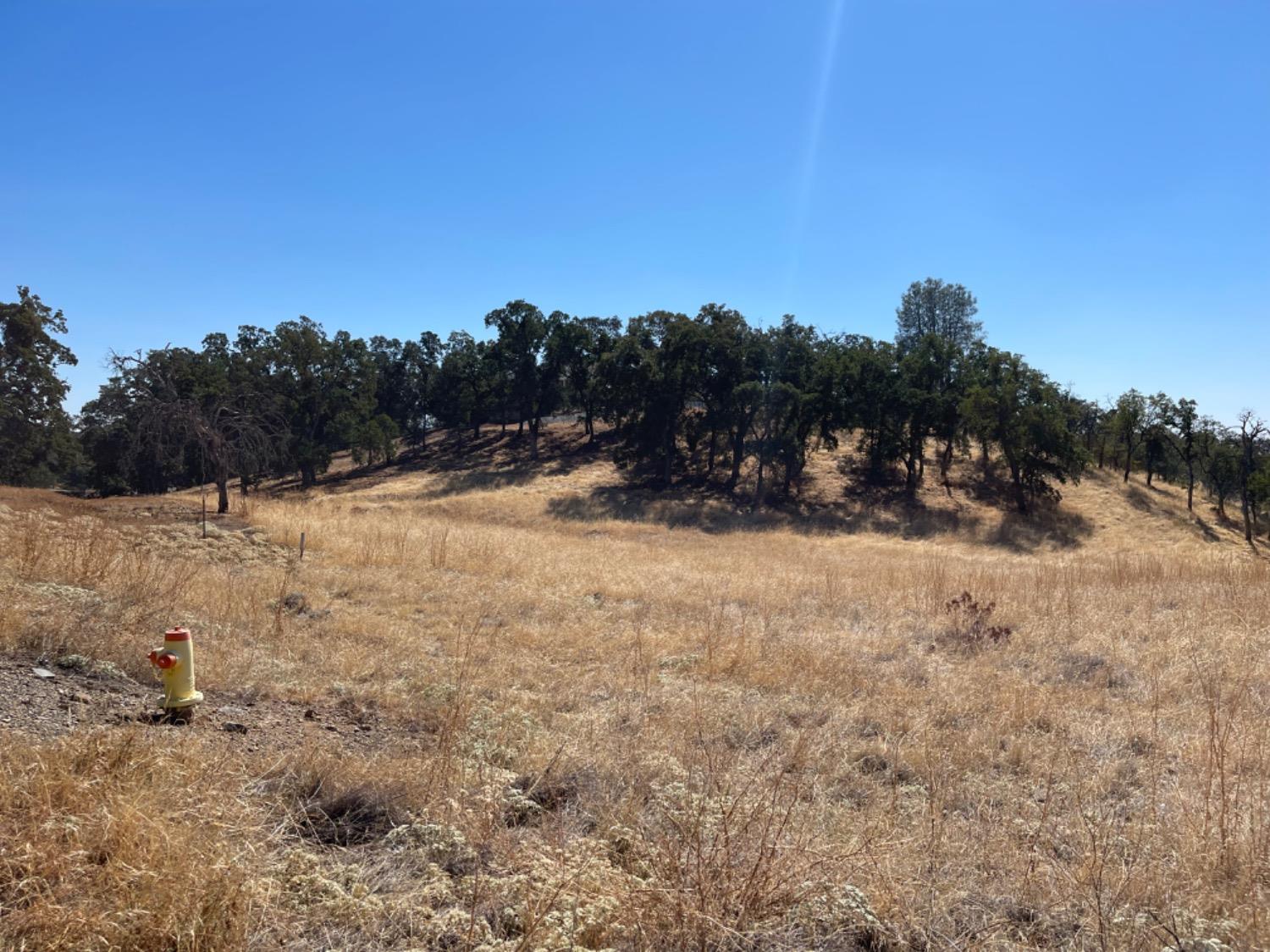 Arbolada Drive, La Grange, California image 7