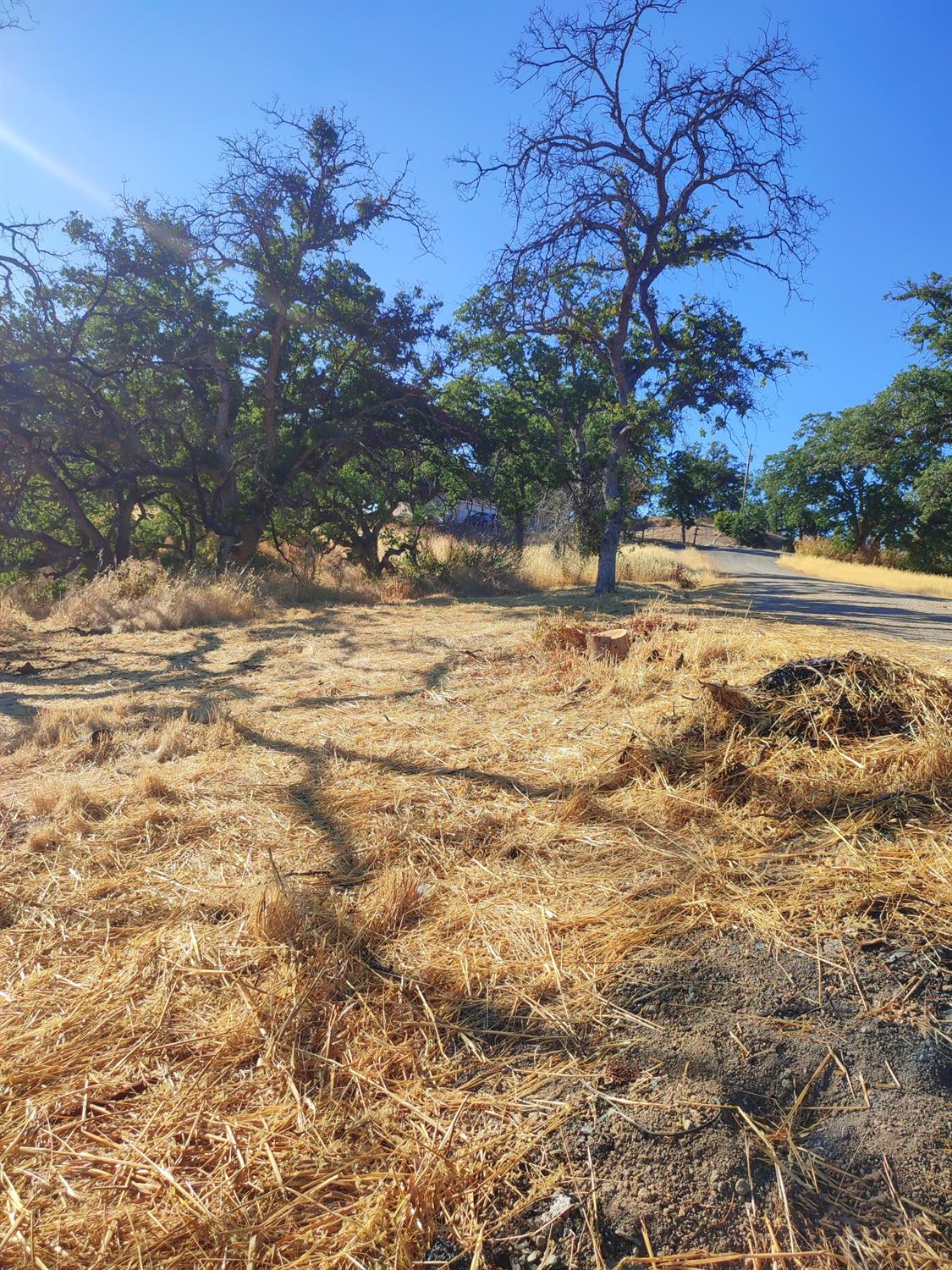 Springfield Point, Corning, California image 5