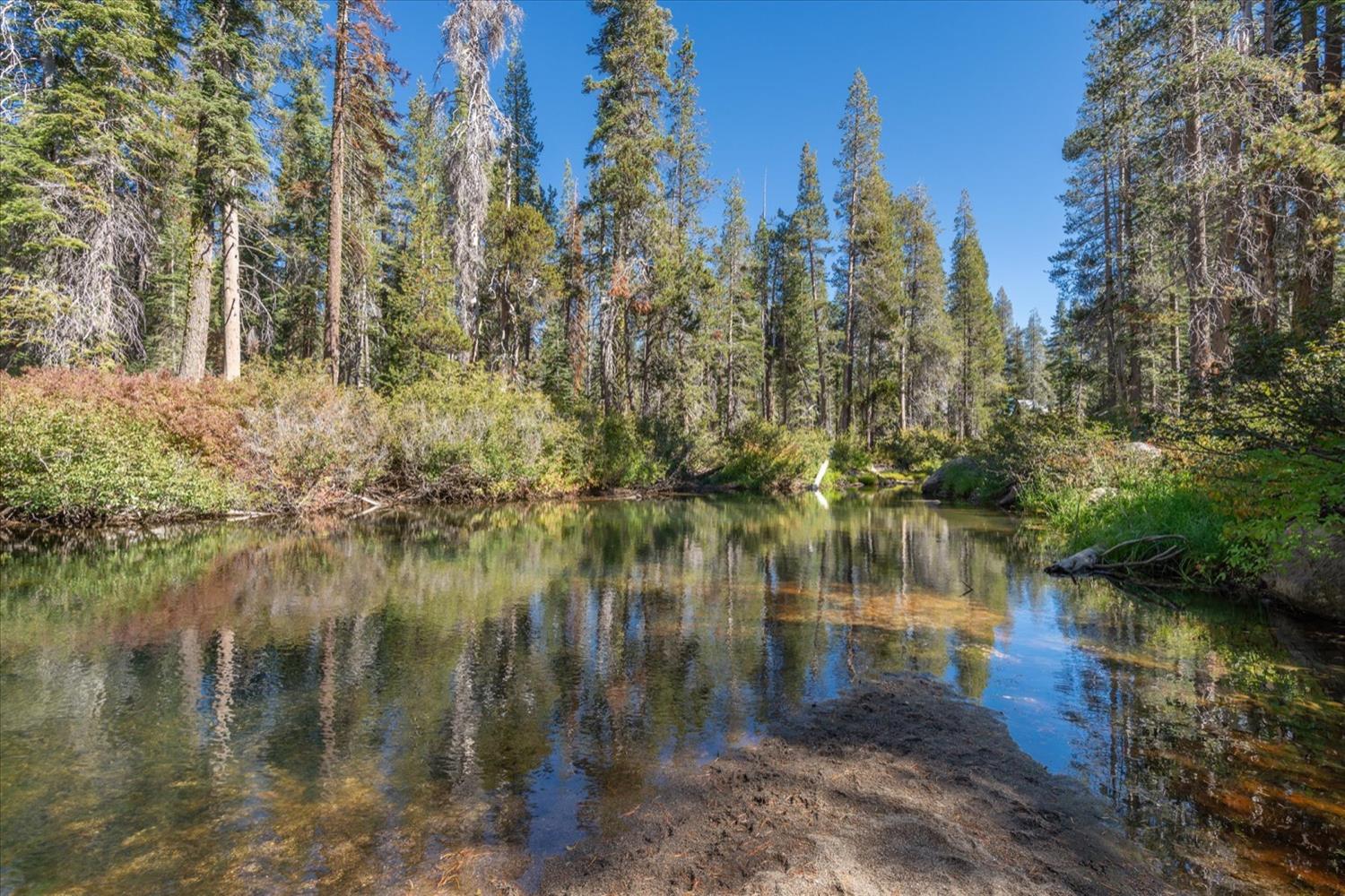 Rusty Lane, Soda Springs, California image 17