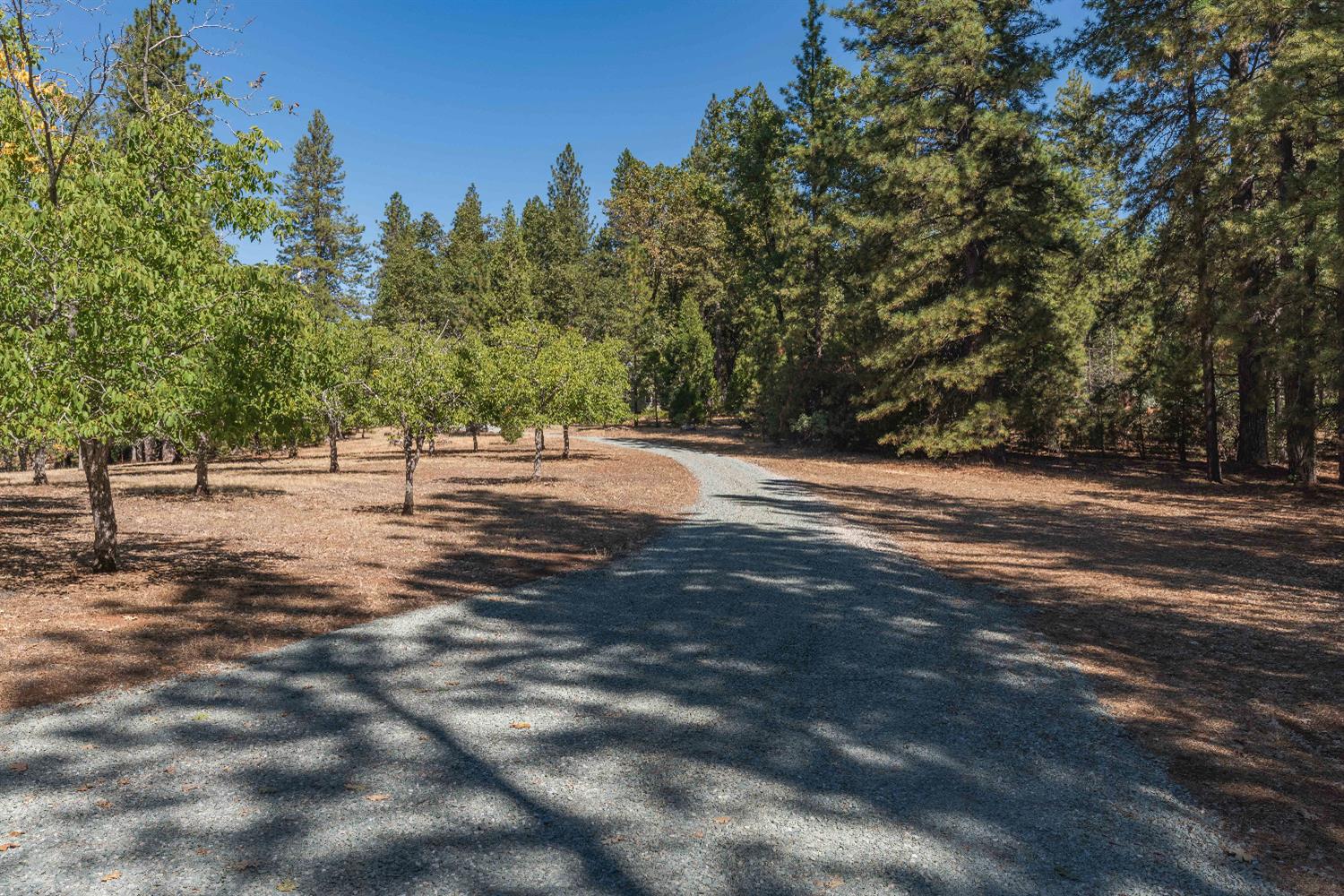 Ponderosa Hills Road, Volcano, California image 2