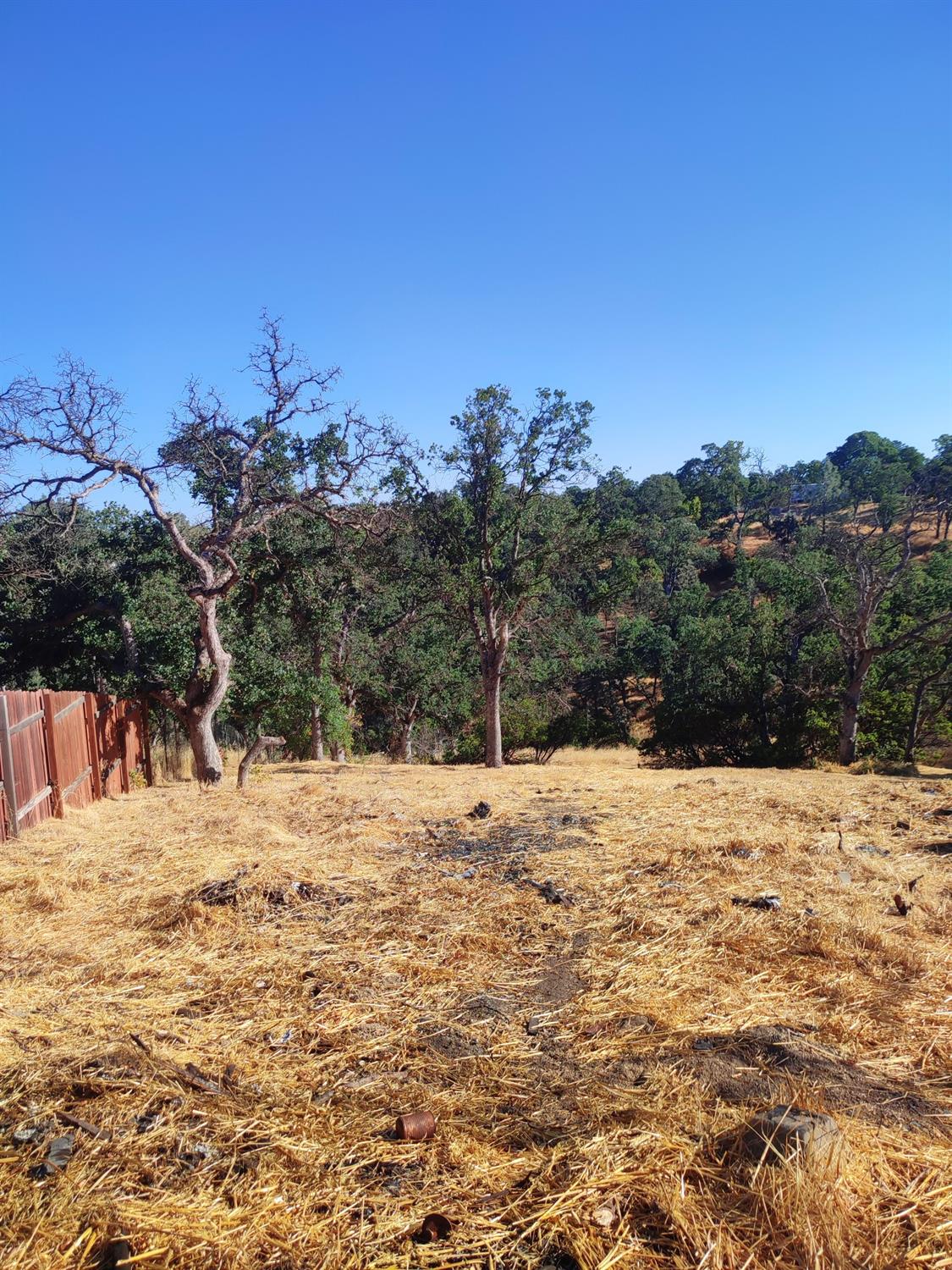 Springfield Point, Corning, California image 10