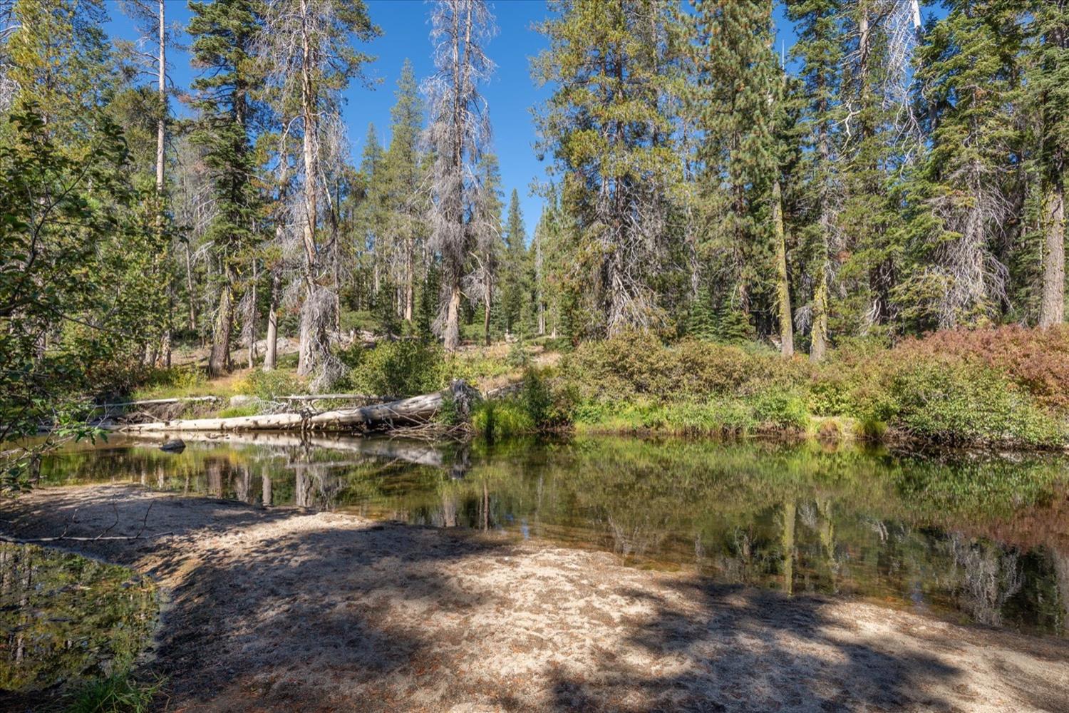 Rusty Lane, Soda Springs, California image 18