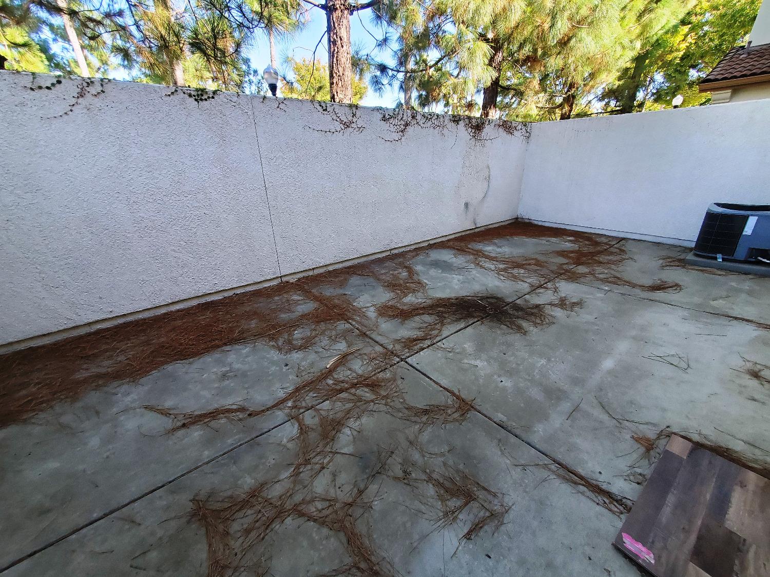 Photo #19: 223096906 Listing: Photo #19