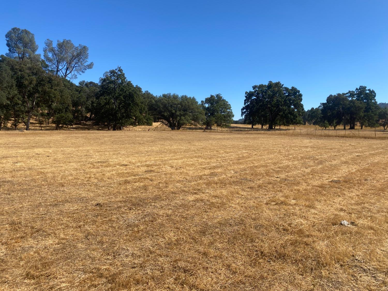 Tapadero Street, Angels Camp, California image 9