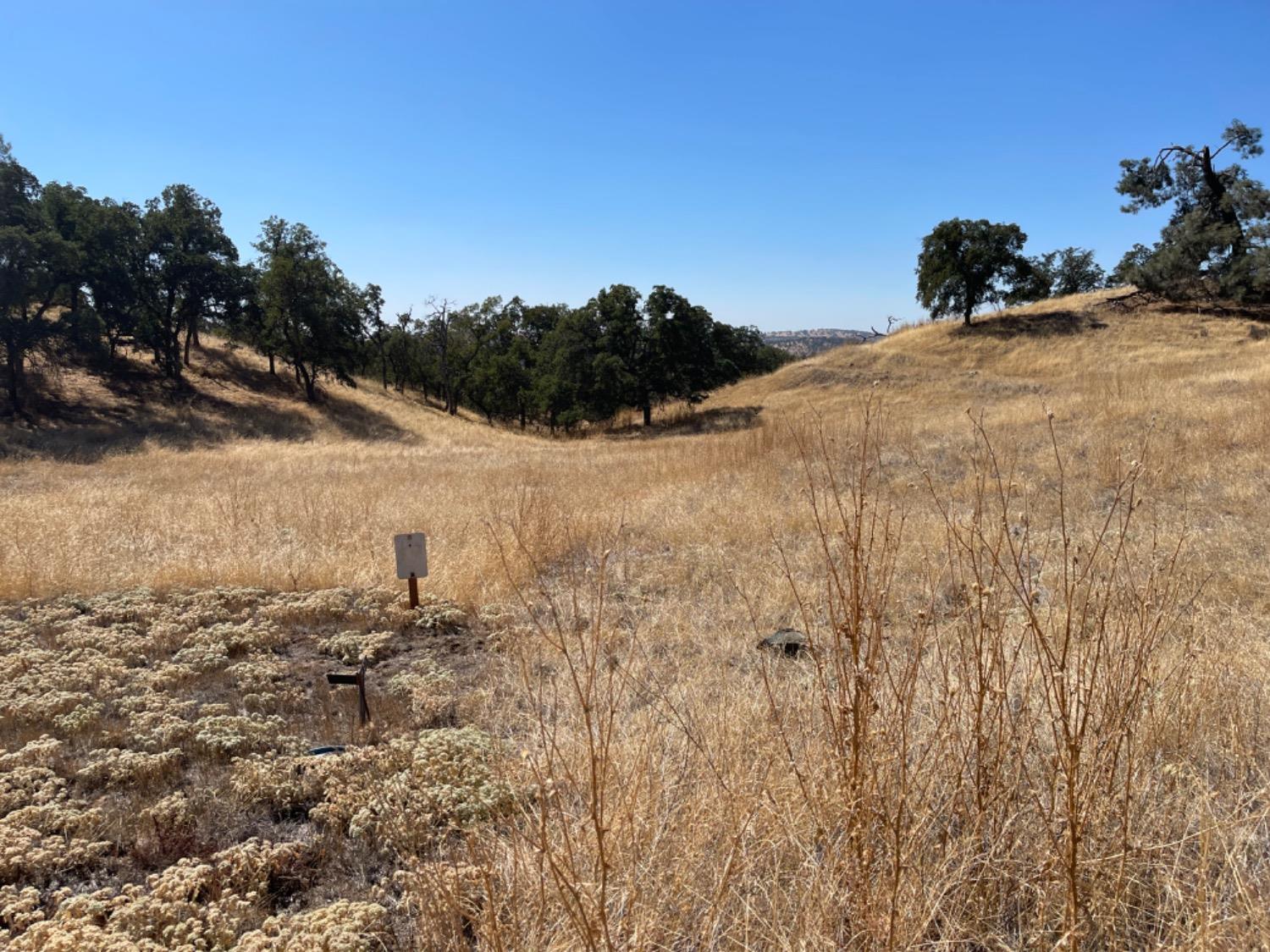 Arbolada Drive, La Grange, California image 5