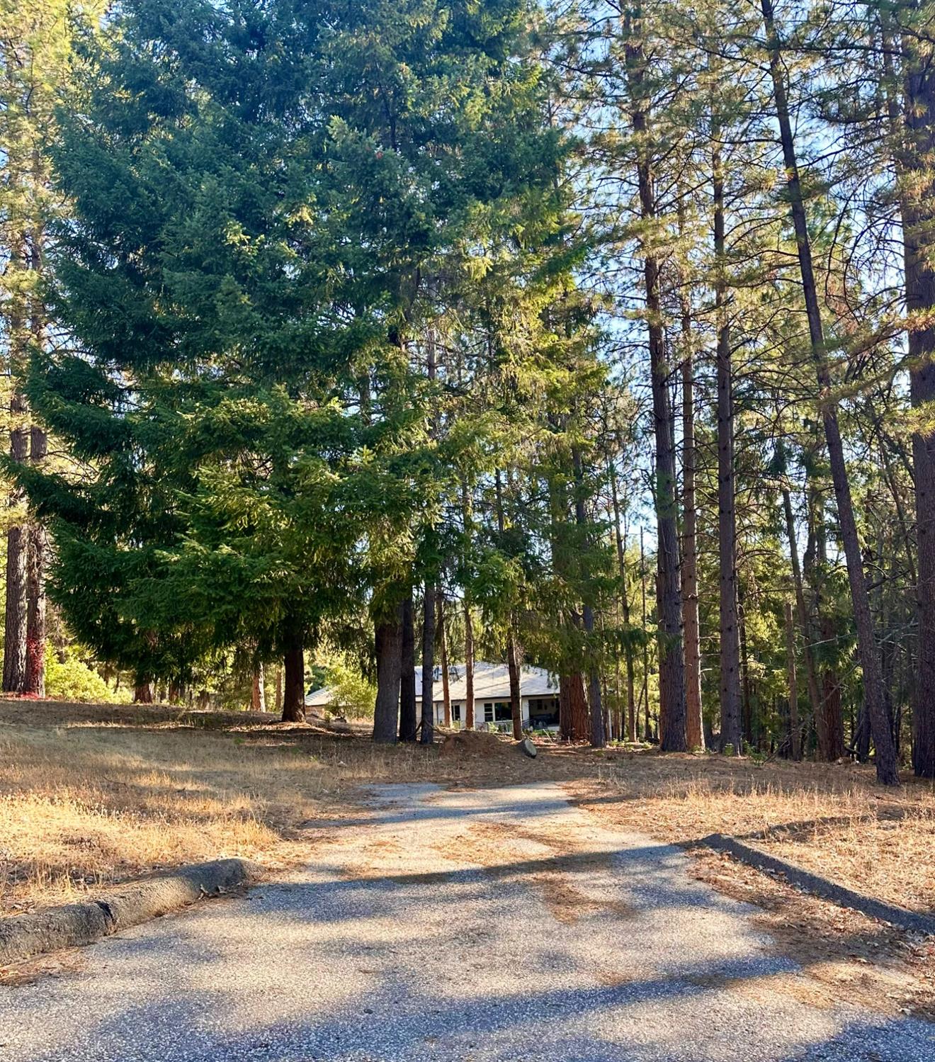 Porta Venare Court, Foresthill, California image 2