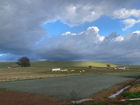 Photo of 0 Settlers Trl in Shingle Springs, CA