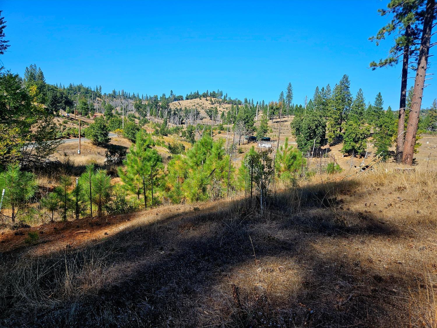 Rustlers Pass, Mountain Ranch, California image 19