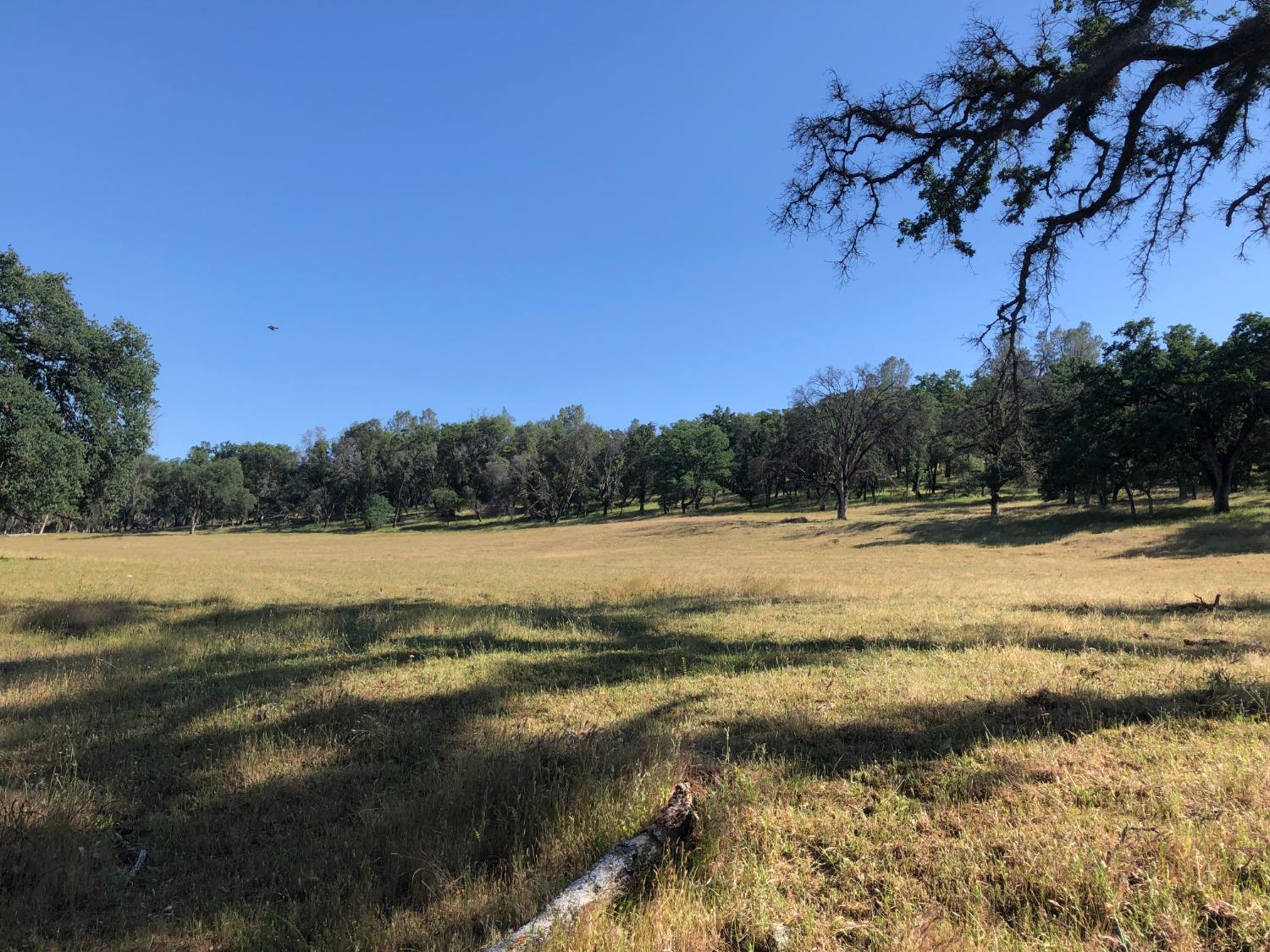 28205 Mccourtney Road, Grass Valley, California image 9