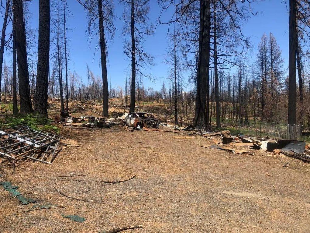 Sheltering Pines Road, Berry Creek, California image 9