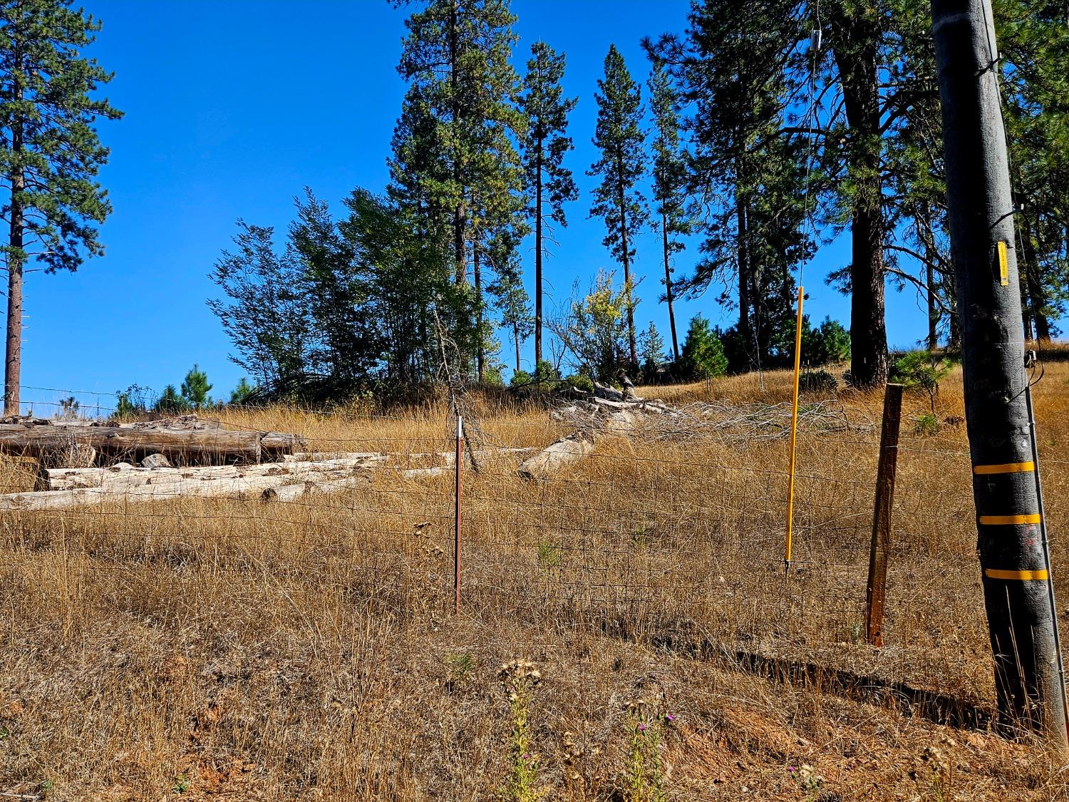 Rustlers Pass, Mountain Ranch, California image 7