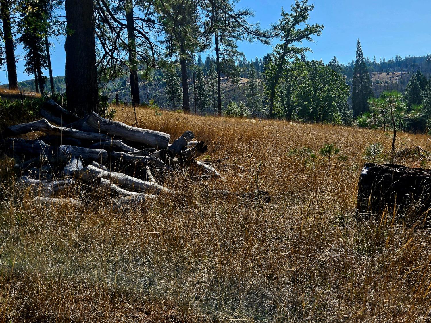 Rustlers Pass, Mountain Ranch, California image 20