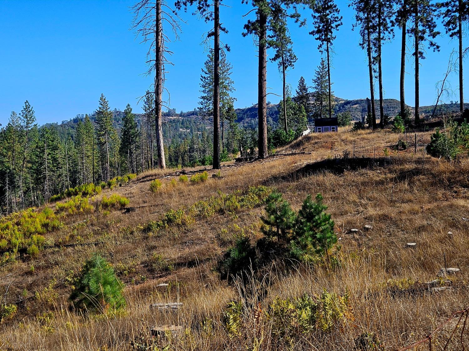 Rustlers Pass, Mountain Ranch, California image 5