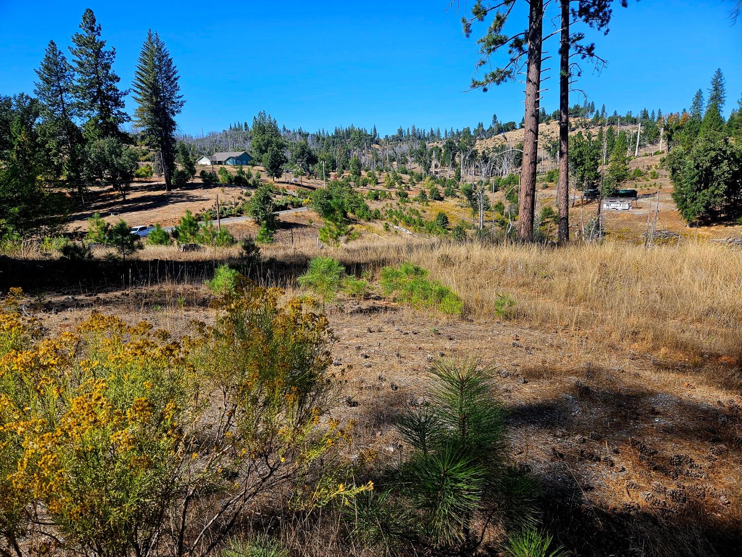 Rustlers Pass, Mountain Ranch, California image 17