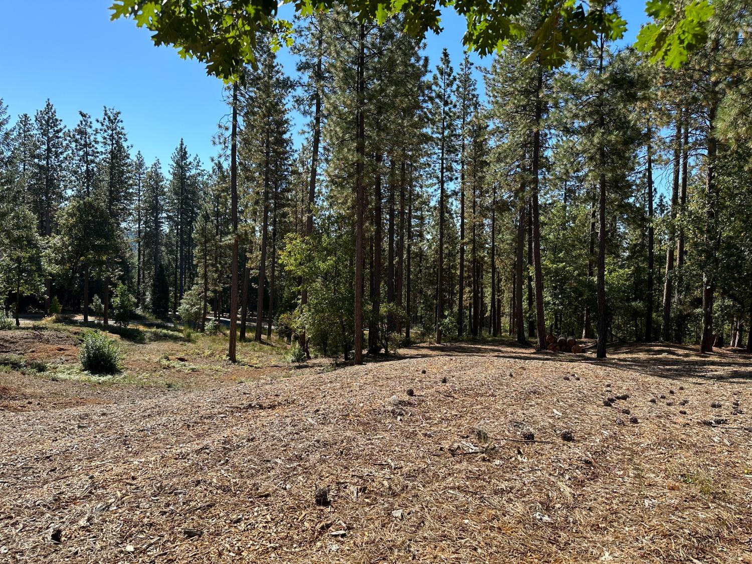 Buffington Court, Nevada City, California image 8