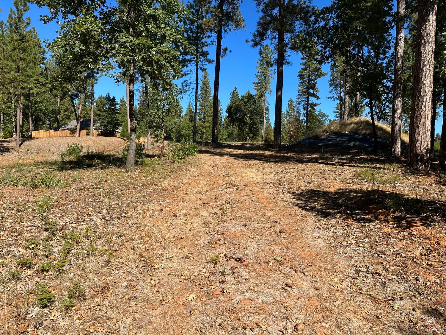 Buffington Court, Nevada City, California image 3