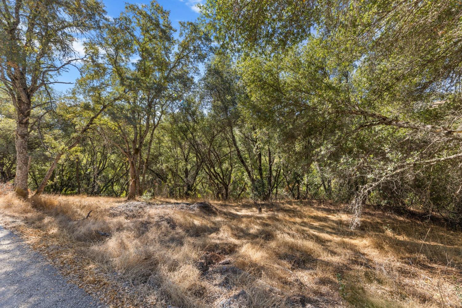 Chalet Way, Pilot Hill, California image 3