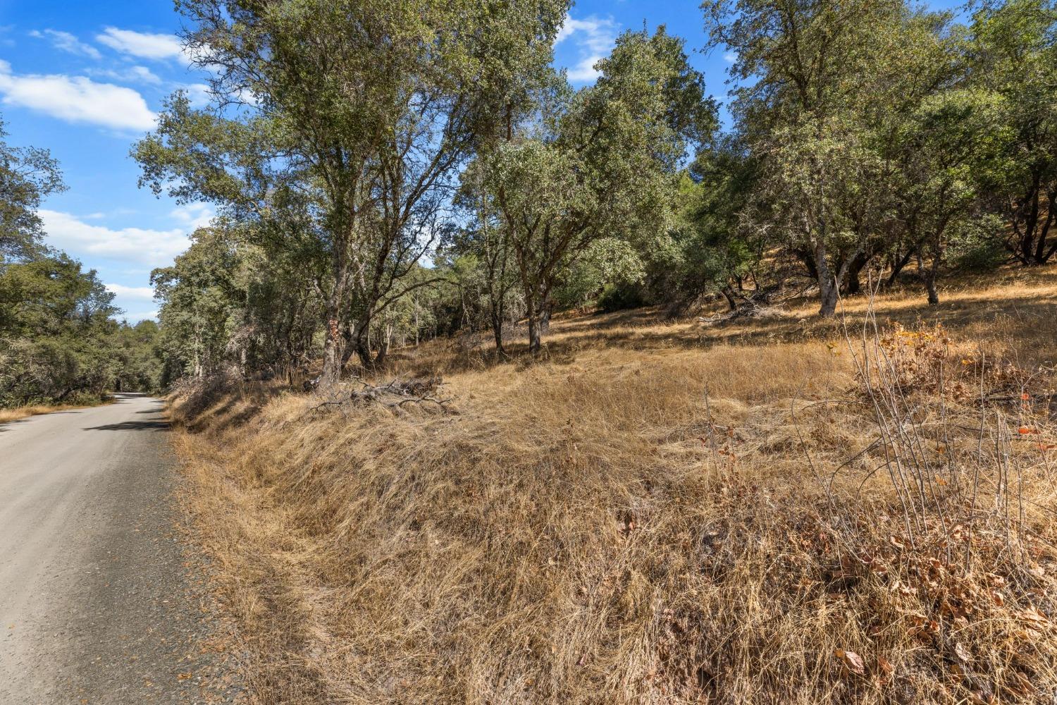 Chalet Way, Pilot Hill, California image 2