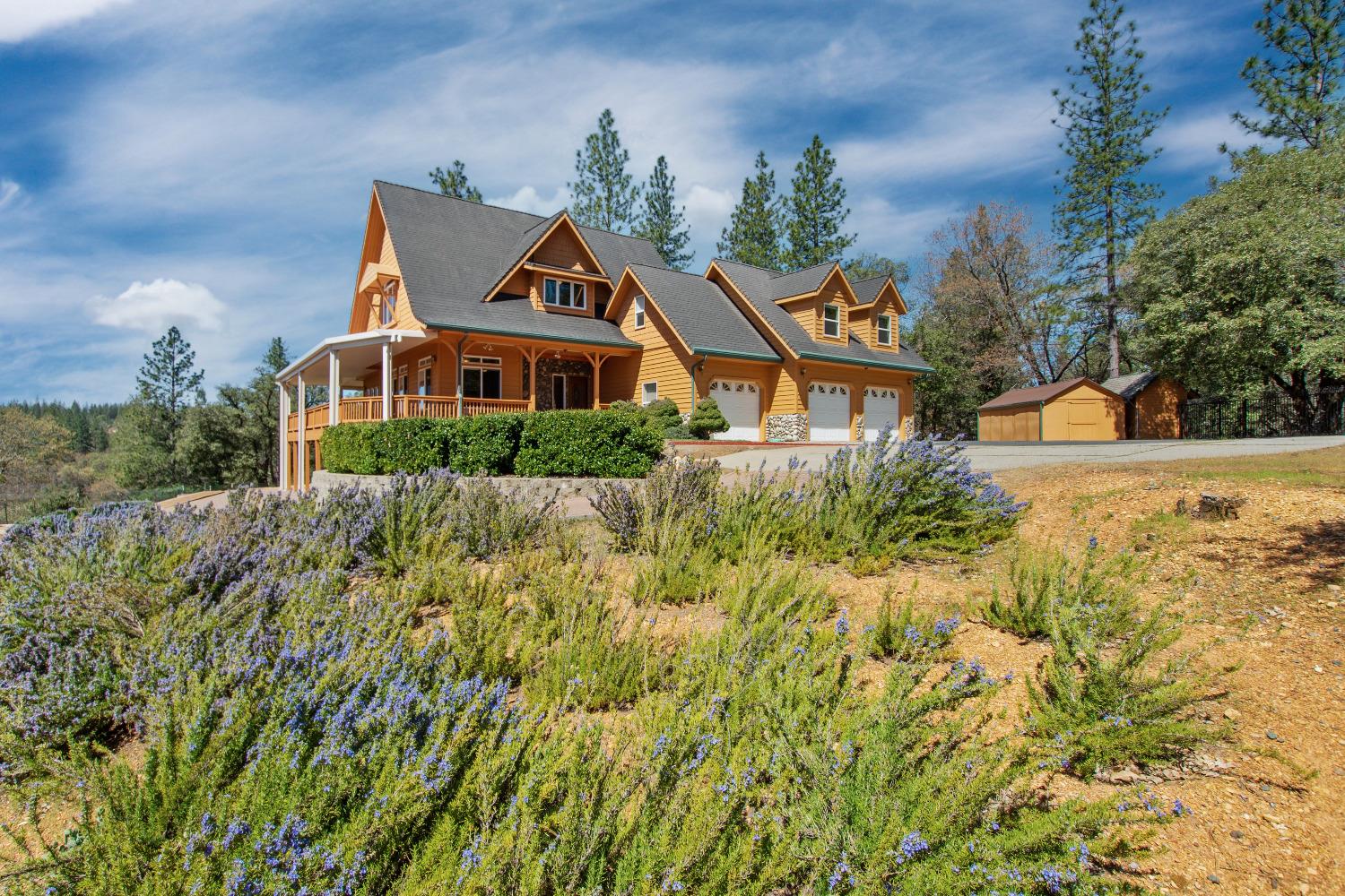 Photo of 717 Swanson Ln in Colfax, CA