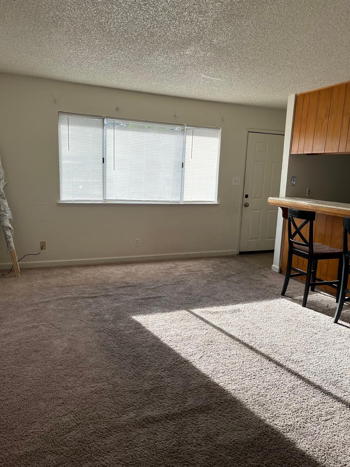 Photo #12: 223098887 Listing 