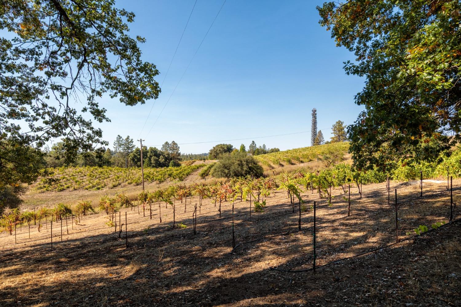 Gray Rock, Somerset, California image 15