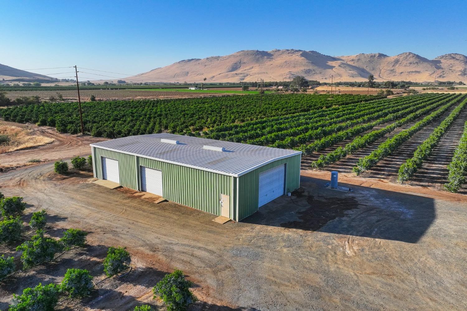 Edgar Avenue, Reedley, California image 9