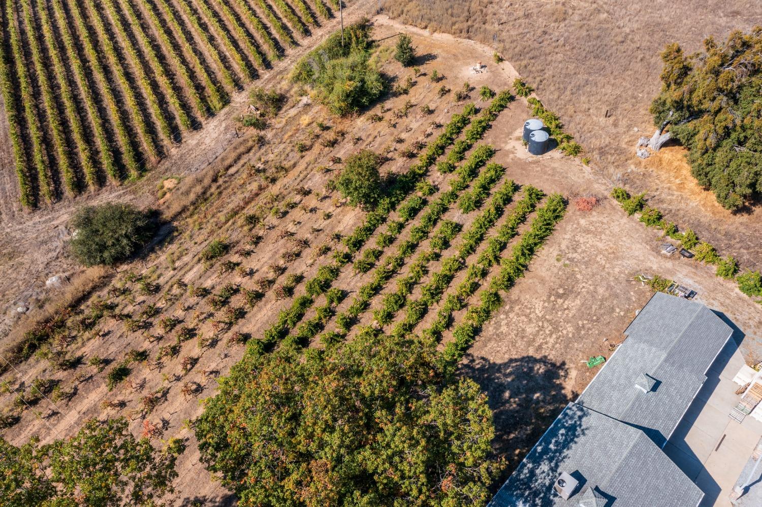 Gray Rock, Somerset, California image 23