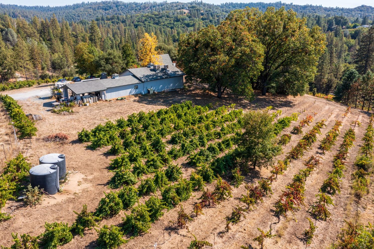 Gray Rock, Somerset, California image 24