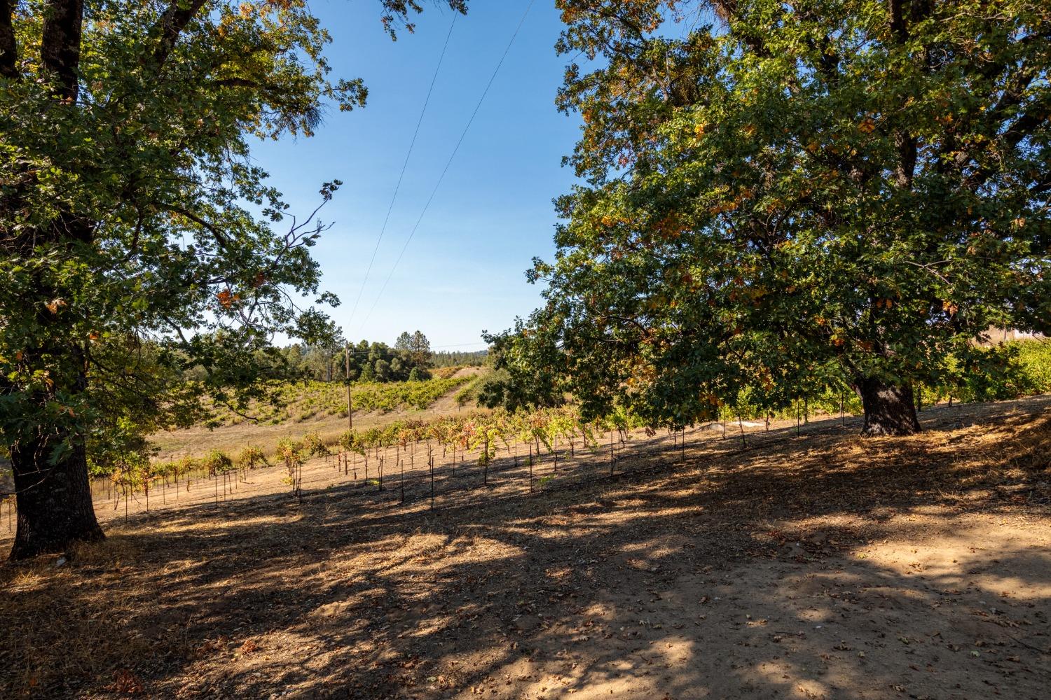 Gray Rock, Somerset, California image 17