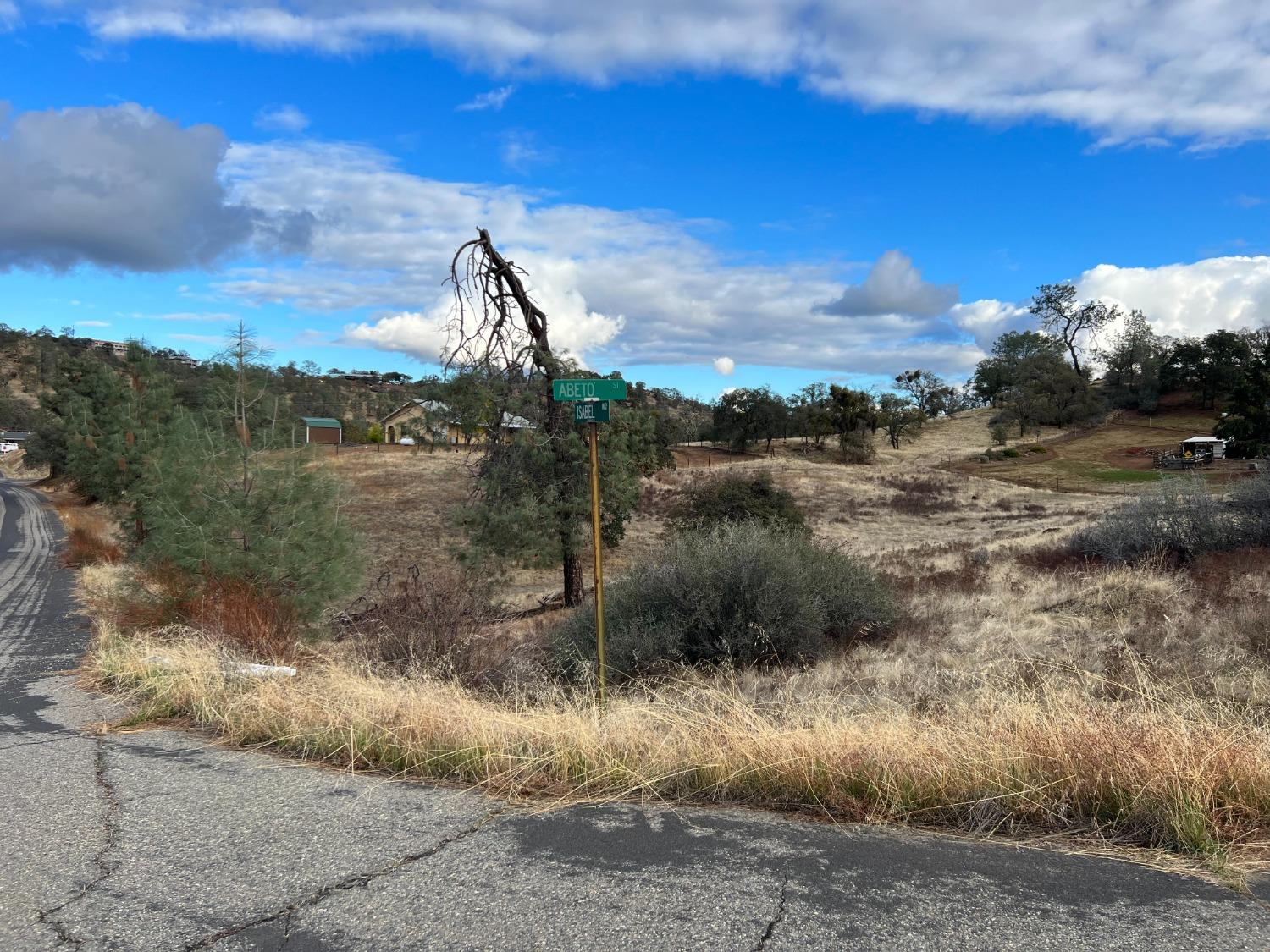 Isabel Way, La Grange, California image 1