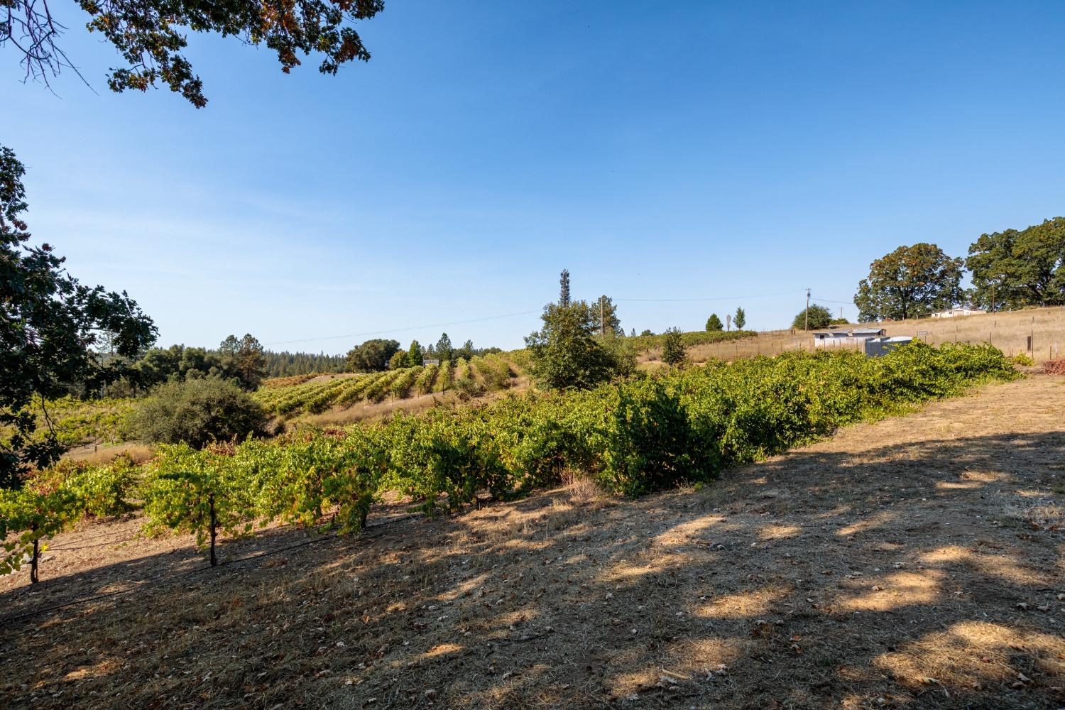 Gray Rock, Somerset, California image 18