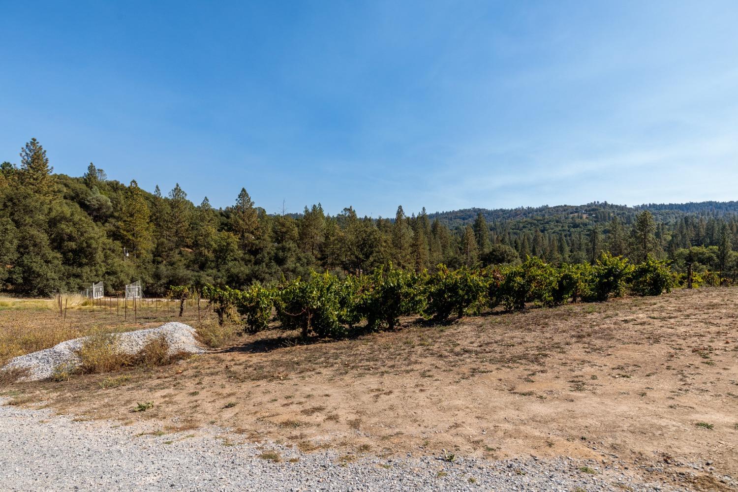 Gray Rock, Somerset, California image 16