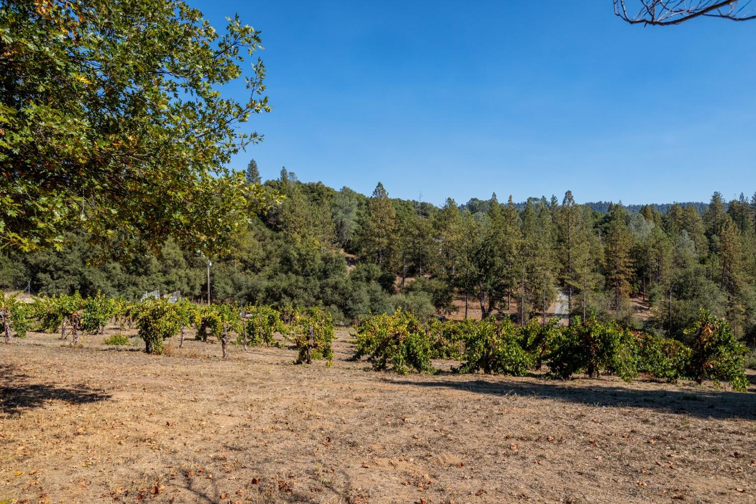 Gray Rock, Somerset, California image 14
