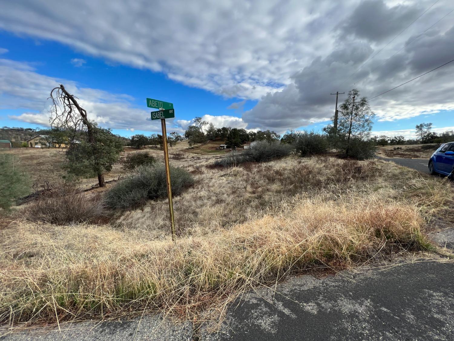 Isabel Way, La Grange, California image 3