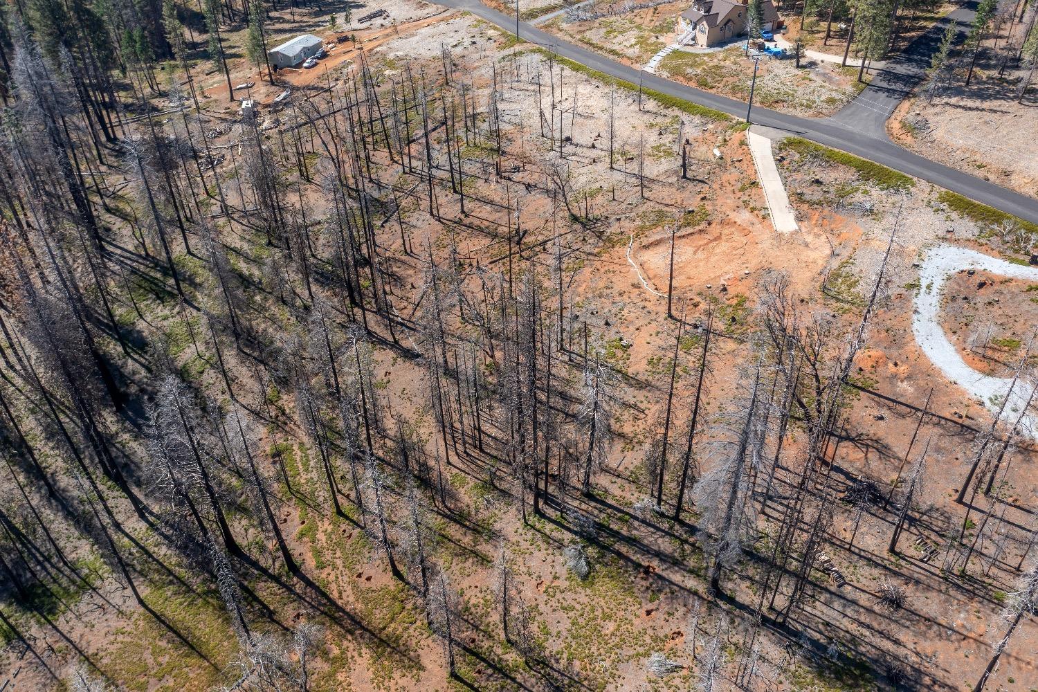 Mount Pleasant Drive, Grizzly Flats, California image 14