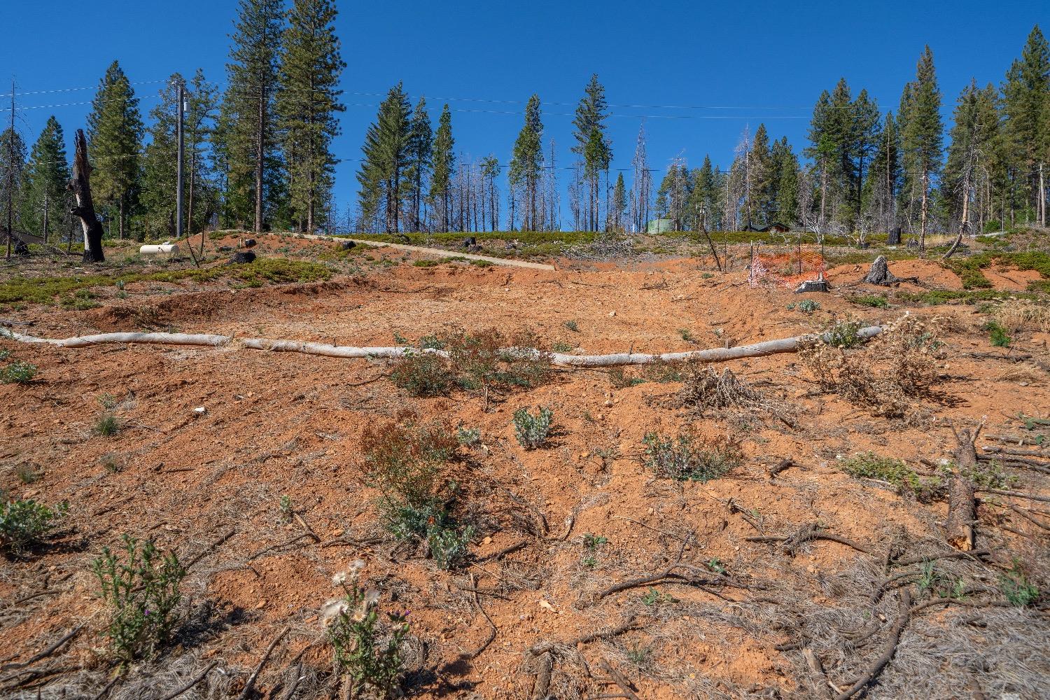 Mount Pleasant Drive, Grizzly Flats, California image 10