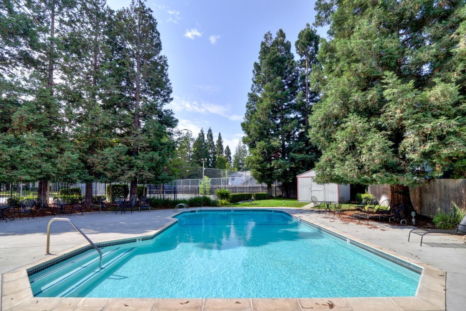 Photo #19: 223099087 Listing: Photo #19