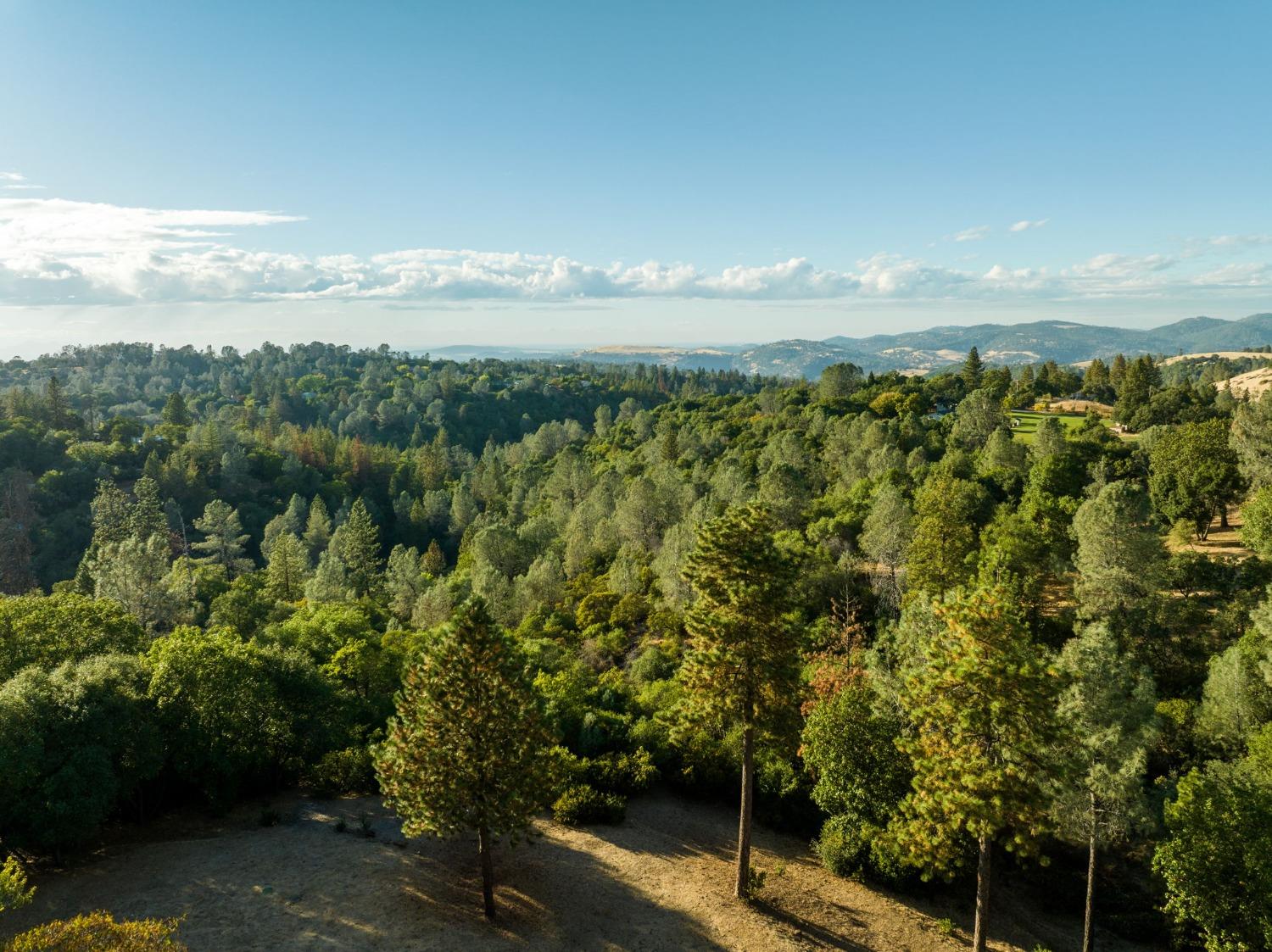 Live Oak Lane, Penn Valley, California image 2