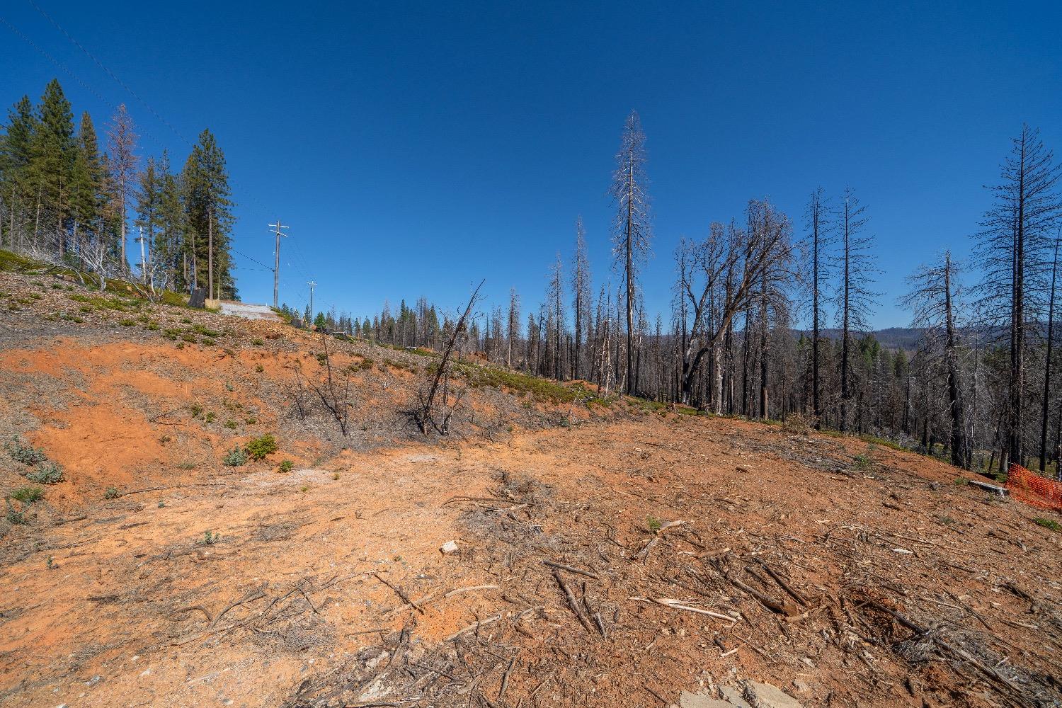 Mount Pleasant Drive, Grizzly Flats, California image 8