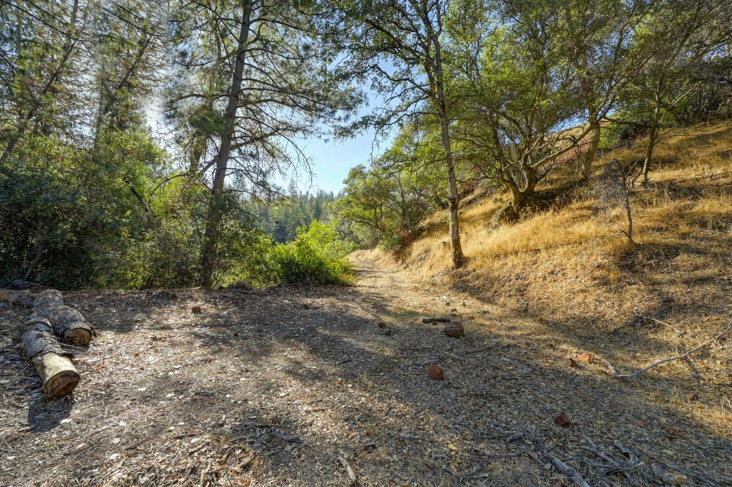 Sweetwater Trail, Cool, California image 6