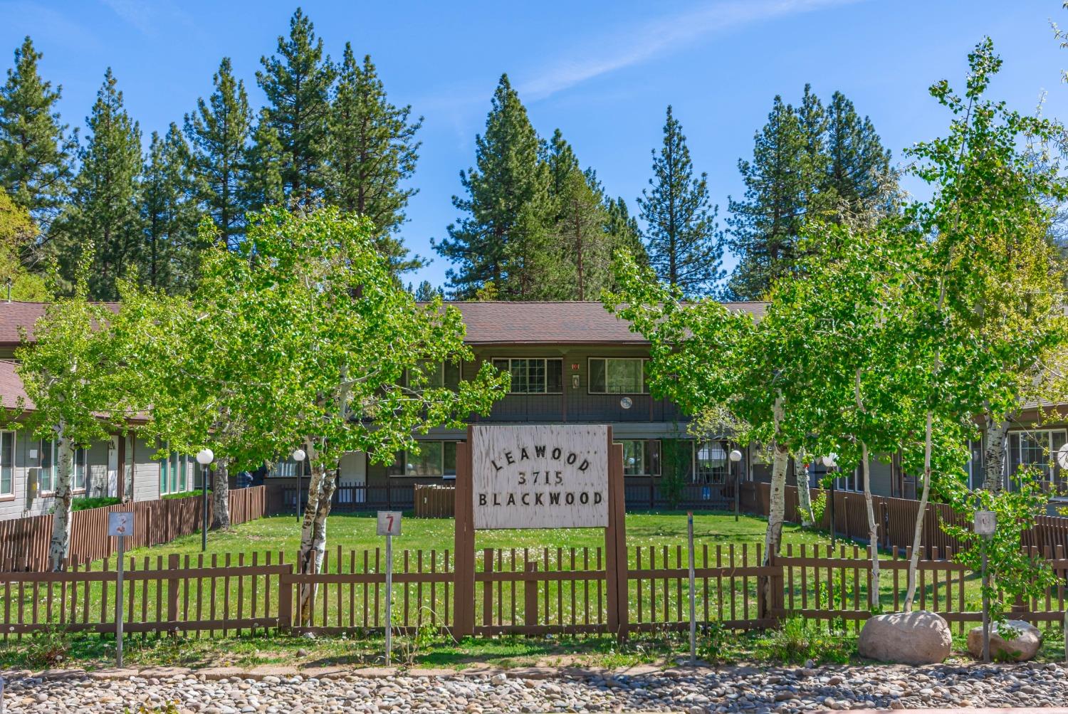 Blackwood Road, South Lake Tahoe, California image 3