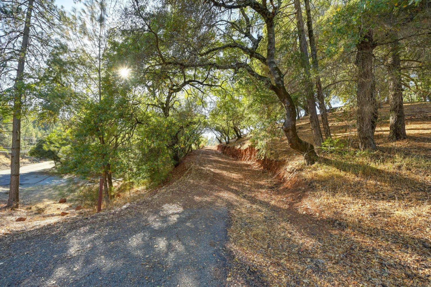 Sweetwater Trail, Cool, California image 5